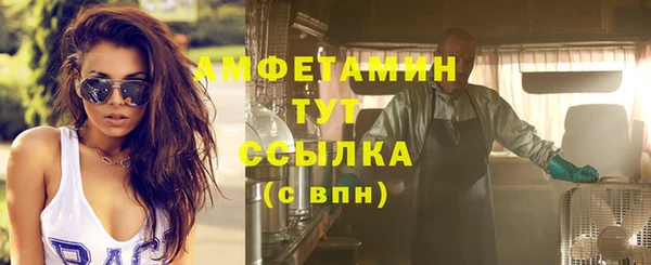 молекула духа Новозыбков