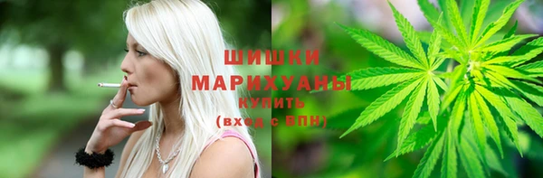 молекула духа Новозыбков