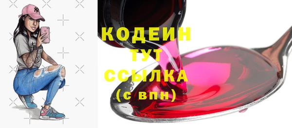молекула духа Новозыбков
